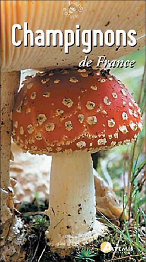 Champignons de France