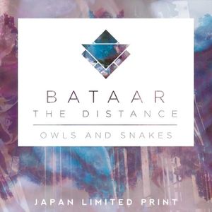 THE DISTANCE / OWLS AND SNAKES (EP)