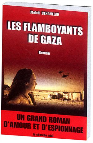 Les flamboyants de Gaza