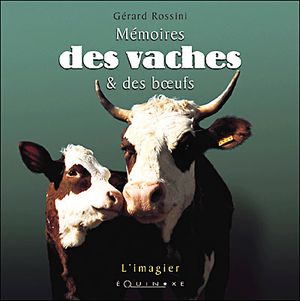 Mémoires des vaches et des boeufs