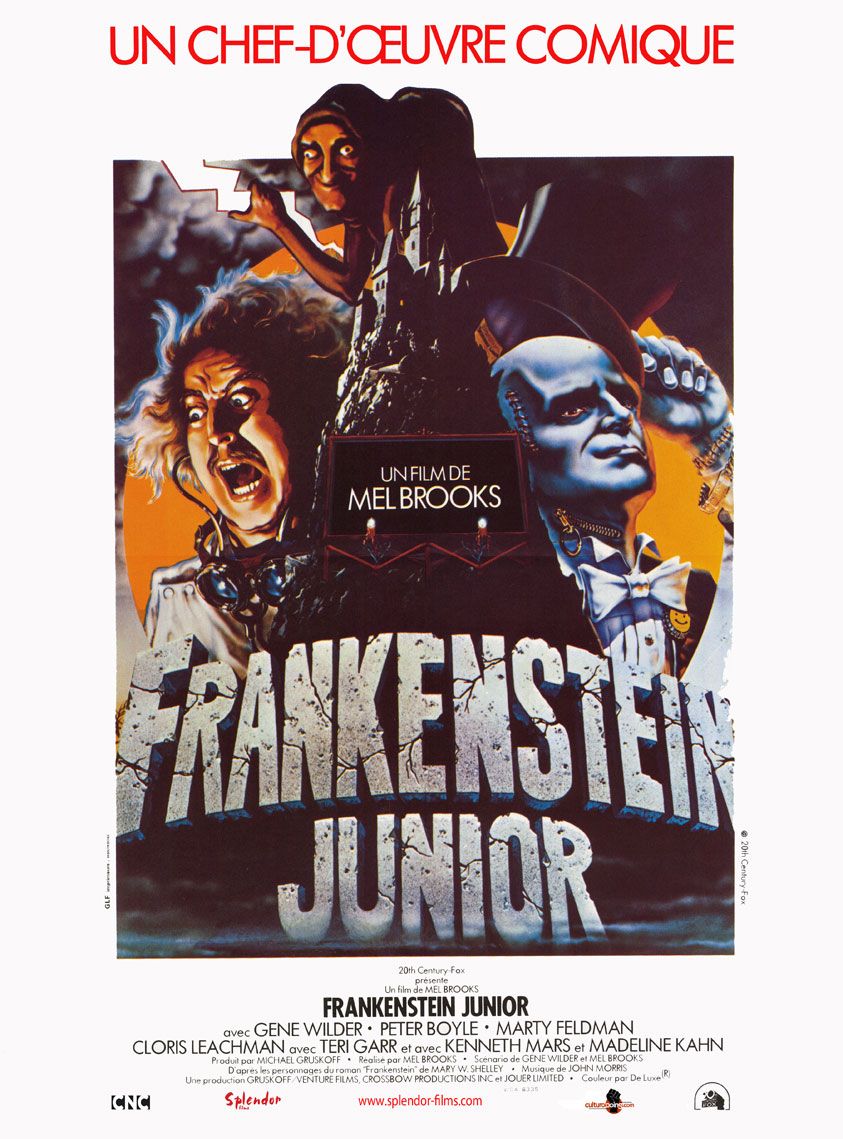 JE VIENS DE MATER UN FILM ! - Page 32 Frankenstein_Junior
