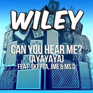 Can You Hear Me? (Ayayaya) (Adam F remix)