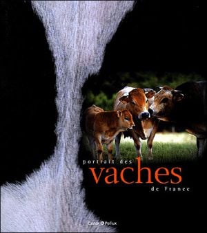 Portraits des vaches de France