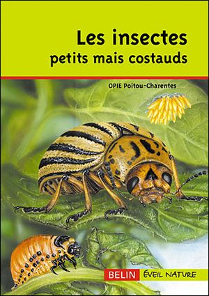 Les insectes petits mais costauds