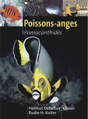 Poissons-anges