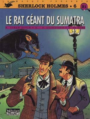 Le rat géant du Sumatra