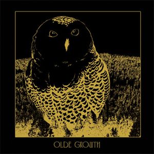 Owl (EP)