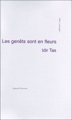 Les genets sont en fleur