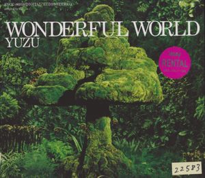 WONDERFUL WORLD