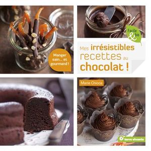 Mes irrésistibles recettes au chocolat