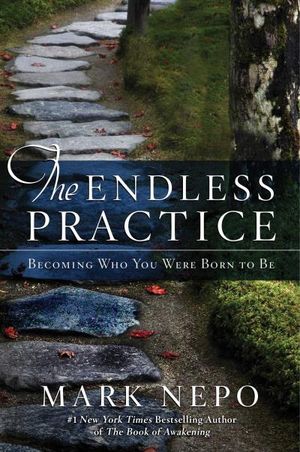 The Endless Practice