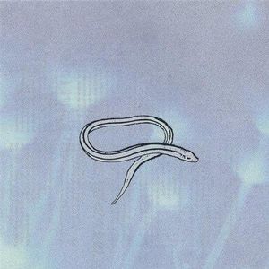 Bring On the Snakes