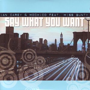Say What You Want (Single)