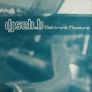 Elektronik Pleasure (Single)