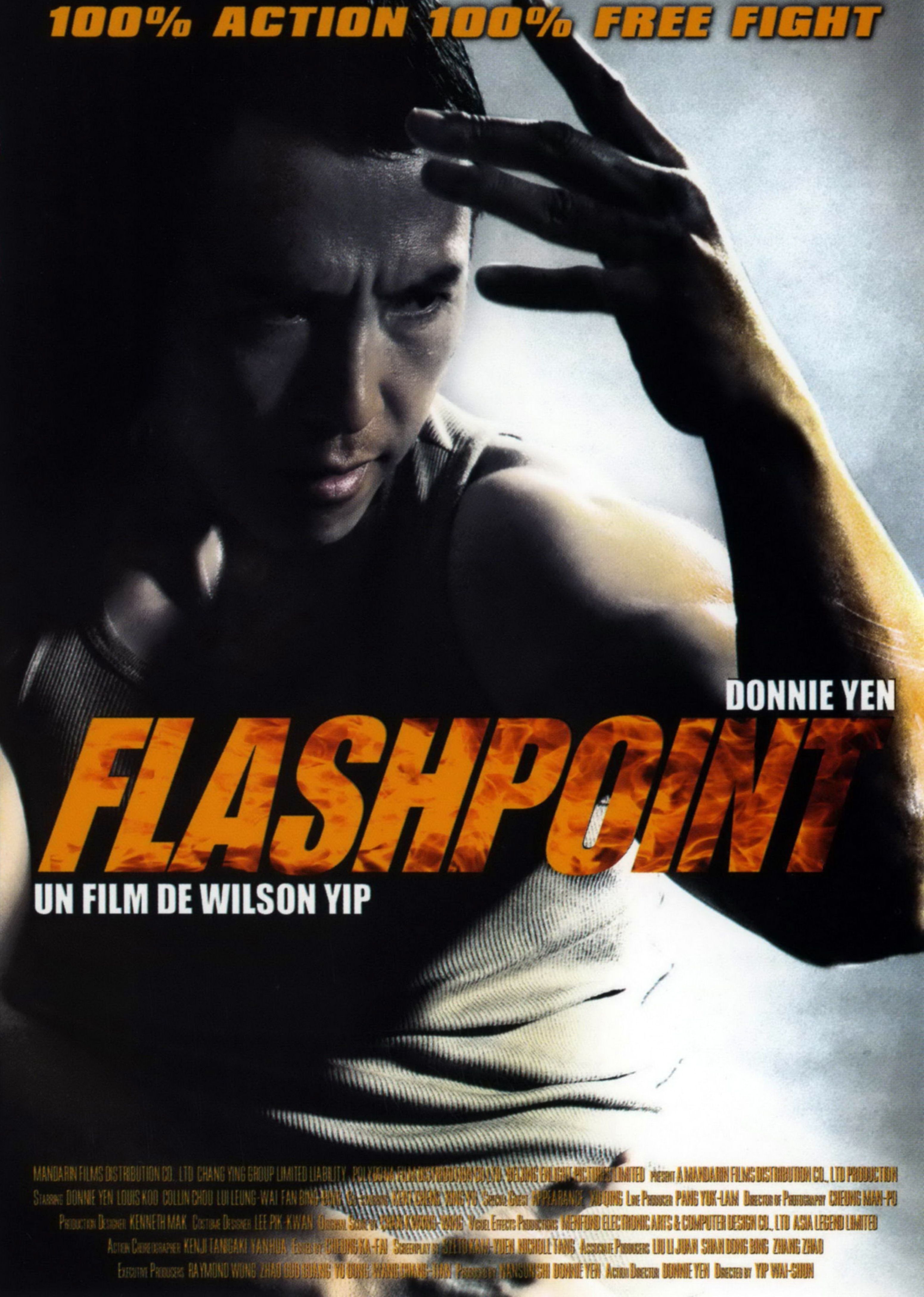 affiches-posters-et-images-de-flashpoint-2007-senscritique