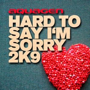 Hard To Say I'm Sorry 2k9 (Single)