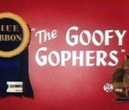 image-https://media.senscritique.com/media/000007238535/0/the_goofy_gophers.jpg