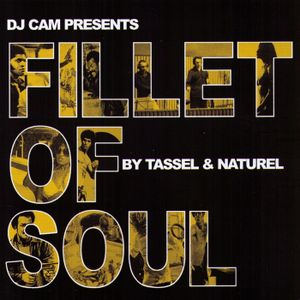 Fillet of Soul