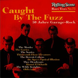 Rolling Stone: Rare Trax, Volume 75: Caught by the Fuzz: 50 Jahre Garage-Rock