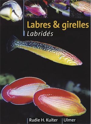 Labres et girelles