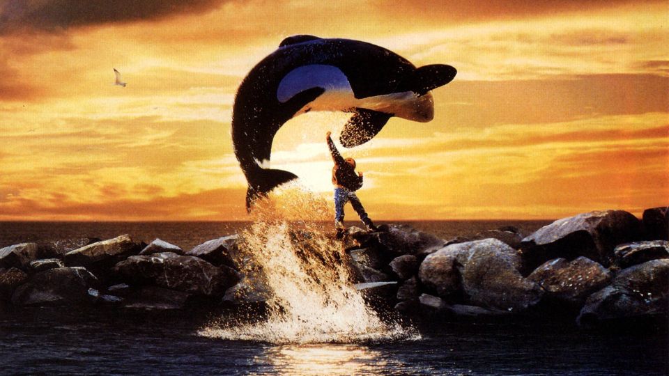 Affiches posters et images de sauvez willy 1993 senscritique