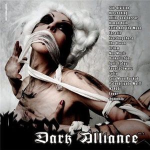 Dark Alliance, Volume 4