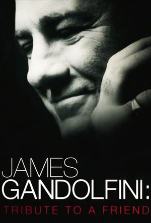 James Gandolfini : Tribute to a Friend