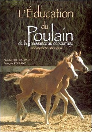 L'éducation du poulain