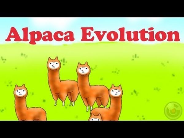 Alpaca Evolution