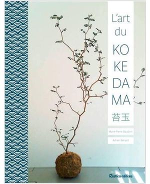 L'art du kokedama