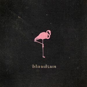 Blindspot