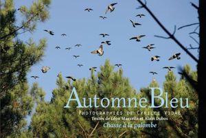 Automne bleu