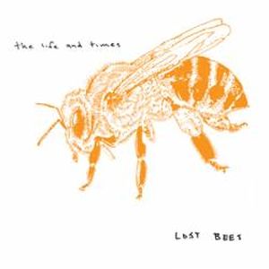 Lost Bees