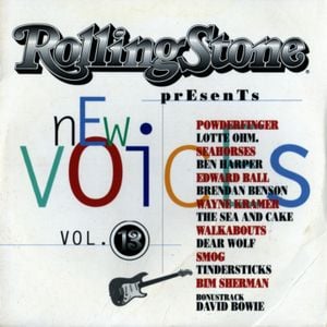 Rolling Stone: New Voices, Volume 13