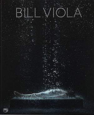 Bill Viola, Expérience de l'infini