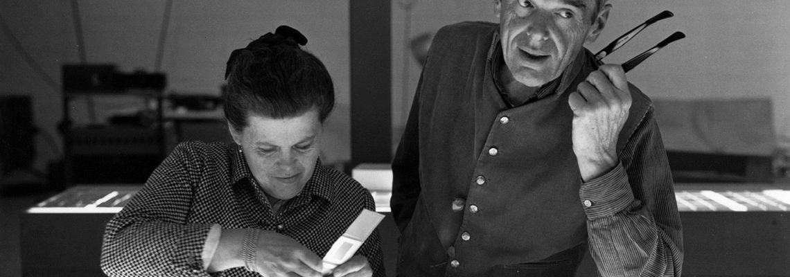 Cover Eames: The Architect and the  Painter