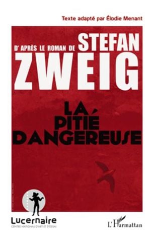 La pitié dangereuse d'après le roman de Stefan Zweig