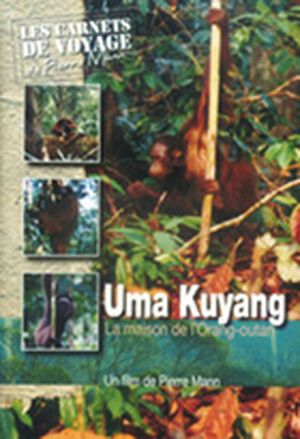 Uma kuyang, la maison de l'orang-outan