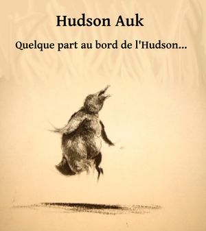Hudson Auk