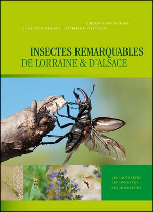 Insectes remarquables d'e Lorraine et d'Alsace