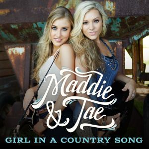 Girl in a Country Song (Single)