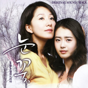 Snow Flower OST (OST)