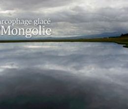 image-https://media.senscritique.com/media/000007362828/0/le_sarcophage_glace_de_mongolie.jpg