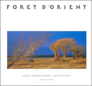 Forêt d'Orient