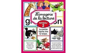 L'imagerie de la lecture