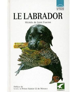 Le labrador