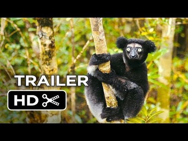 Island of Lemurs: Madagascar