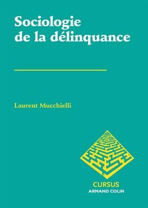 Sociologie de la délinquance