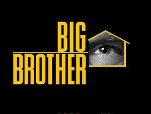 Big Brother (US)