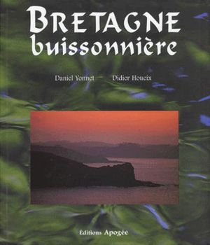 Bretagne buissonniere